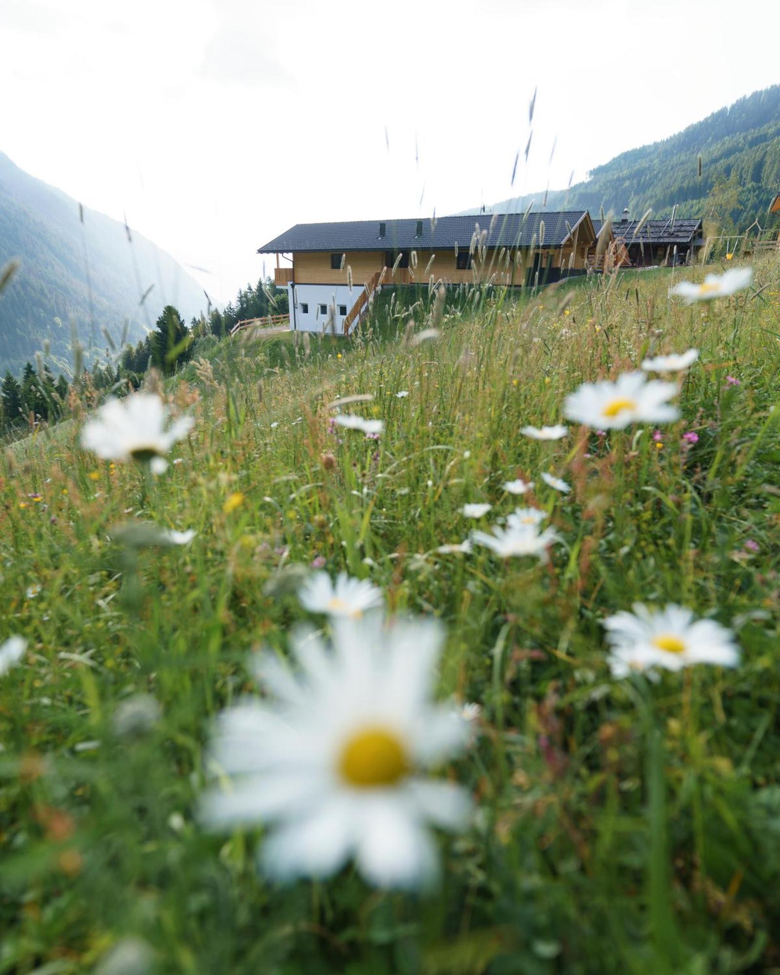 Blosegghof Bergchalets Waldblick Ratschings Buitenkant foto